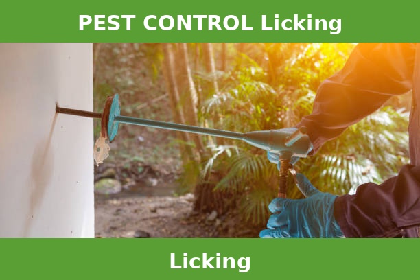 PEST CONTROL Licking